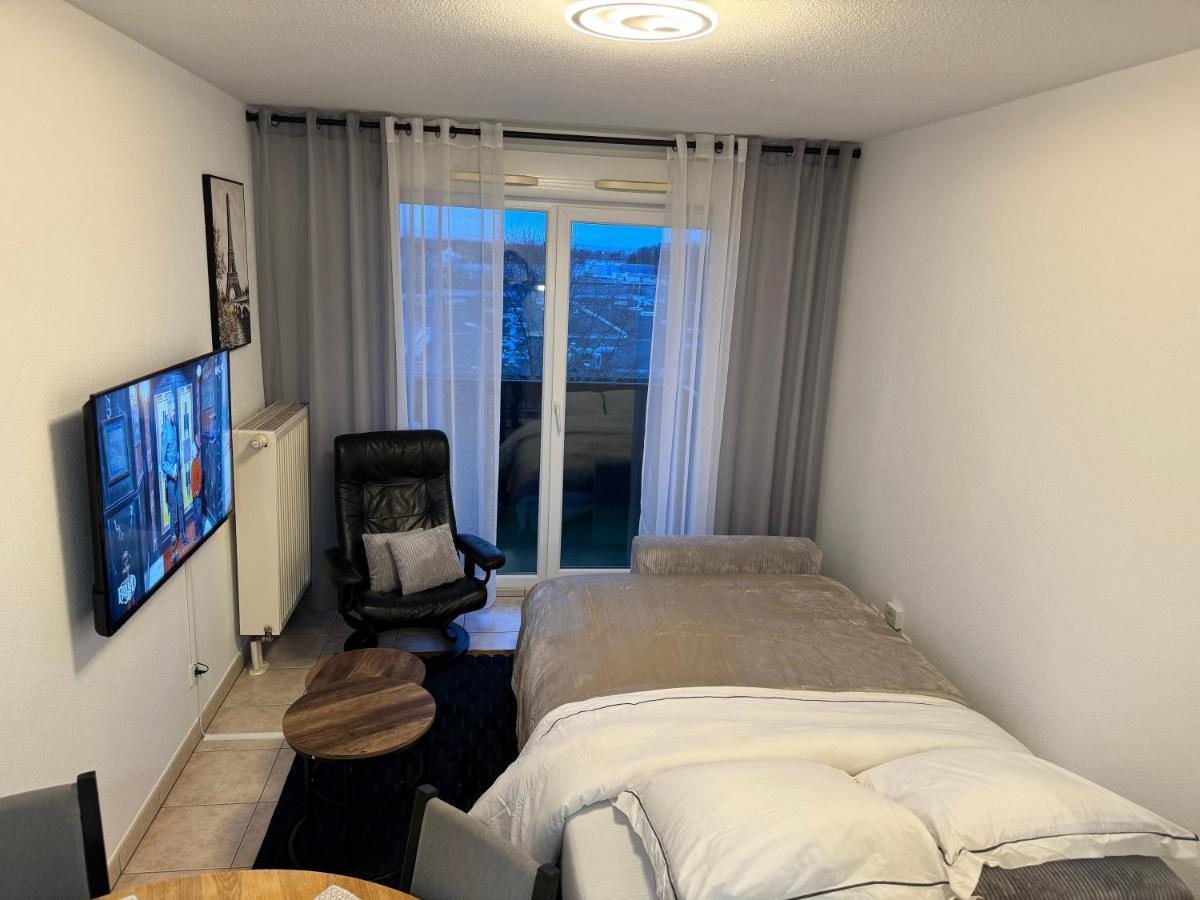 Appartement Calme Avec Balcon, A 4Km Du Centre, Parking, Wi-Fi, Netflix Gratuit ستراسبورغ المظهر الخارجي الصورة