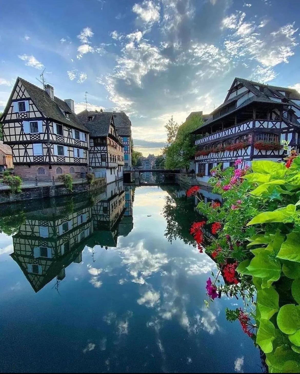 Appartement Calme Avec Balcon, A 4Km Du Centre, Parking, Wi-Fi, Netflix Gratuit ستراسبورغ المظهر الخارجي الصورة